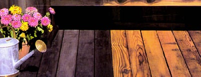 Photo of Wood Revivers