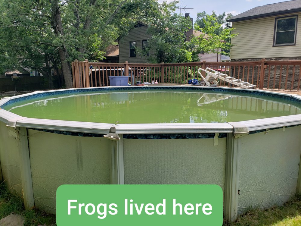 Photo of Water Wizard Pro