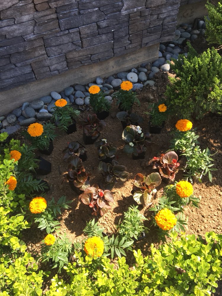 Photo of Roque's Custom Landscaping
