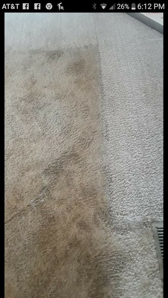 Photo of Carpet Cleaners Plus