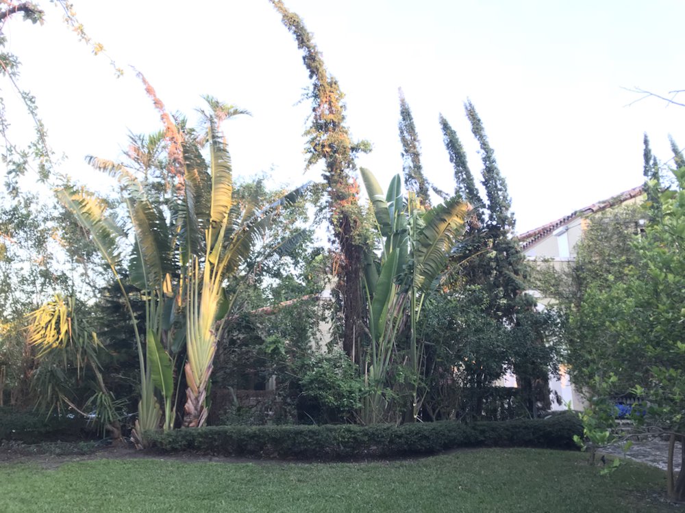 Photo of Cairo Landscaping & Tree Service