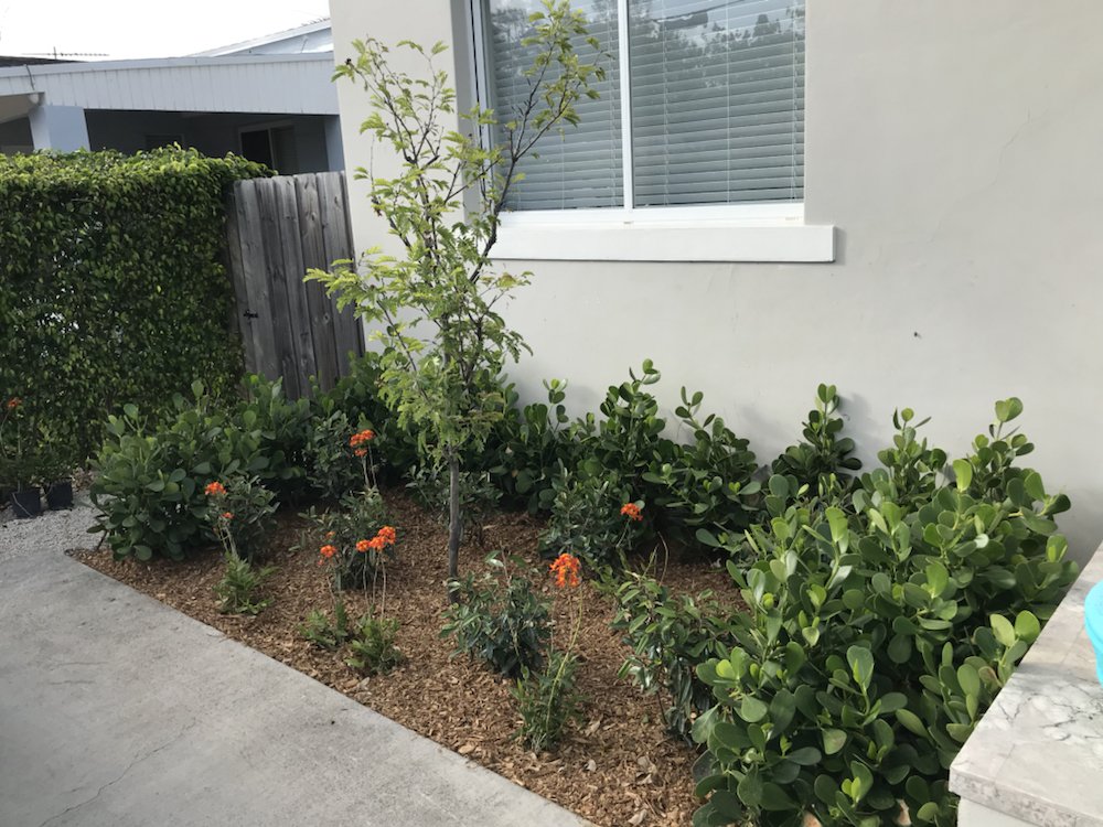Photo of Cairo Landscaping & Tree Service