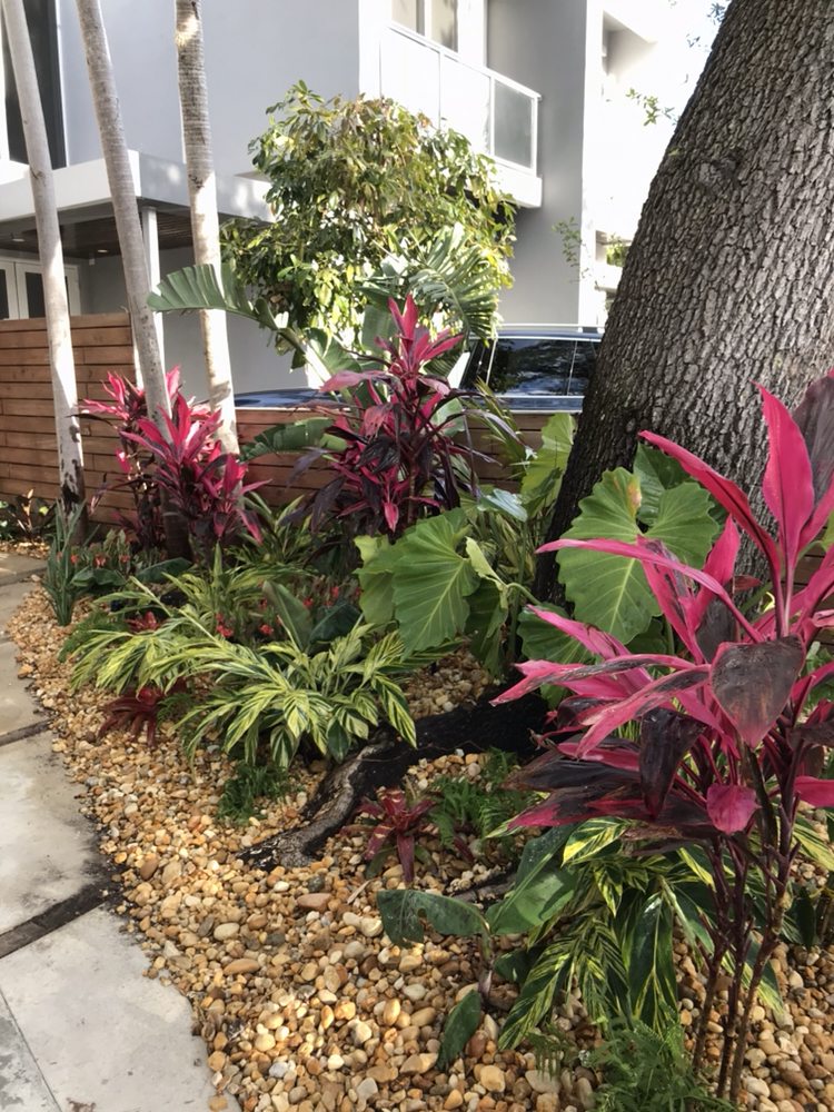 Photo of Cairo Landscaping & Tree Service