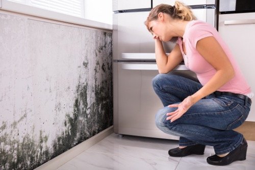 Photo of Aurora Restoration Experts