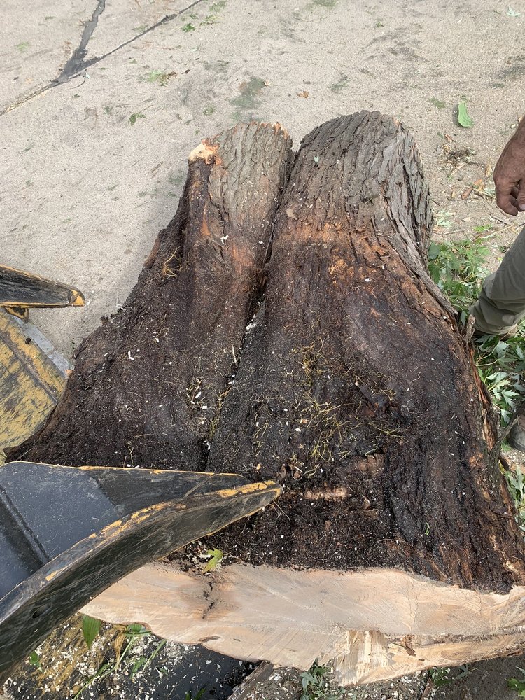 Photo of Pitts Lawn & Tree Service