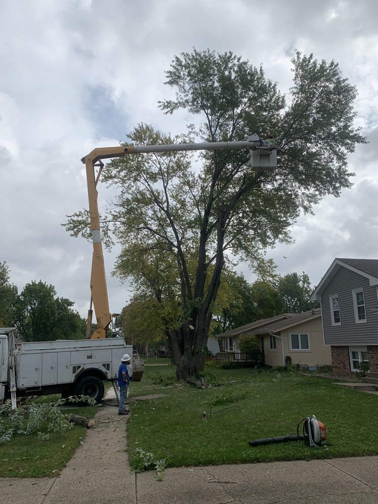 Photo of Pitts Lawn & Tree Service