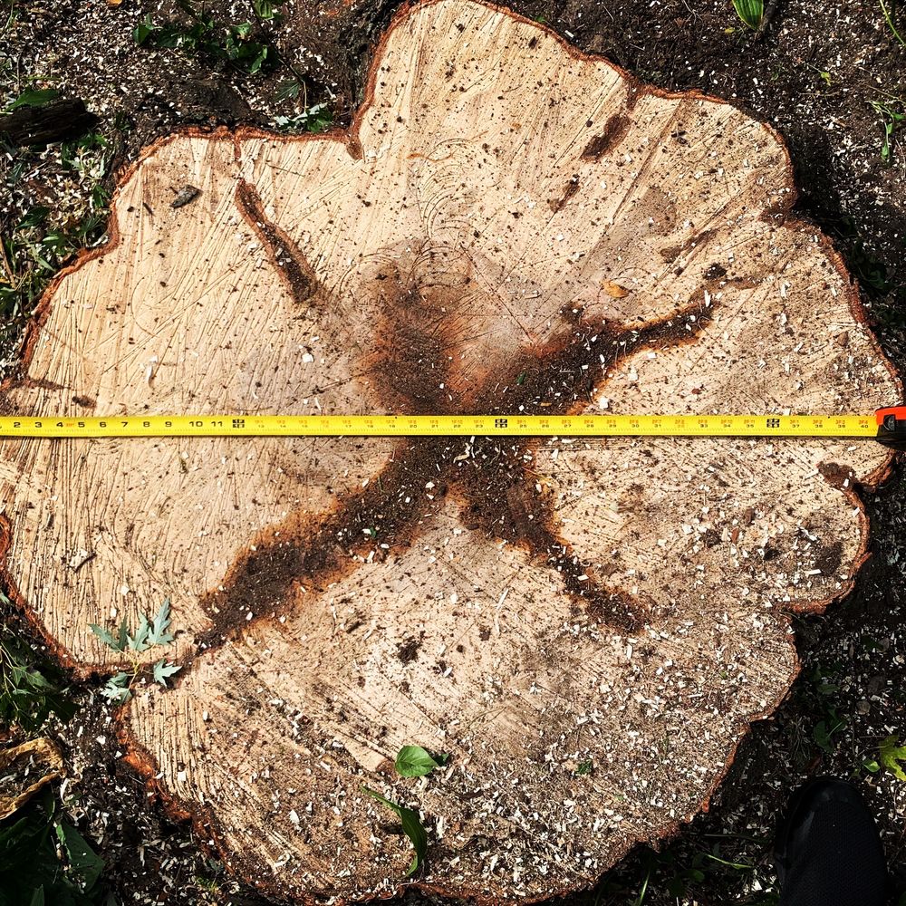 Photo of Pitts Lawn & Tree Service
