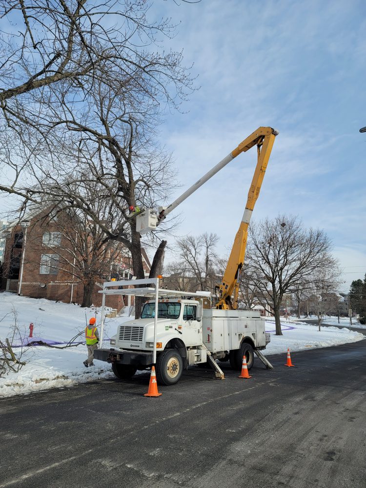 Photo of Pitts Lawn & Tree Service