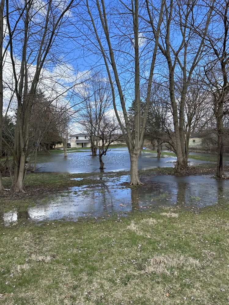 Photo of Mr French Drain