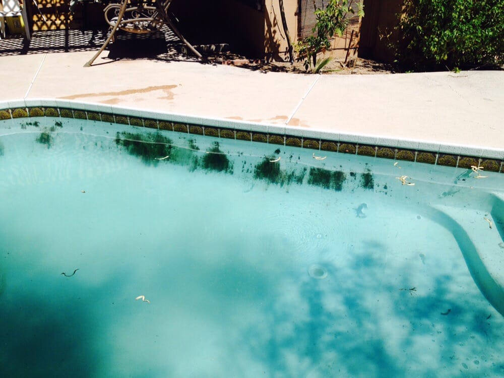 Photo of Sierra Oasis Pool Maintenance