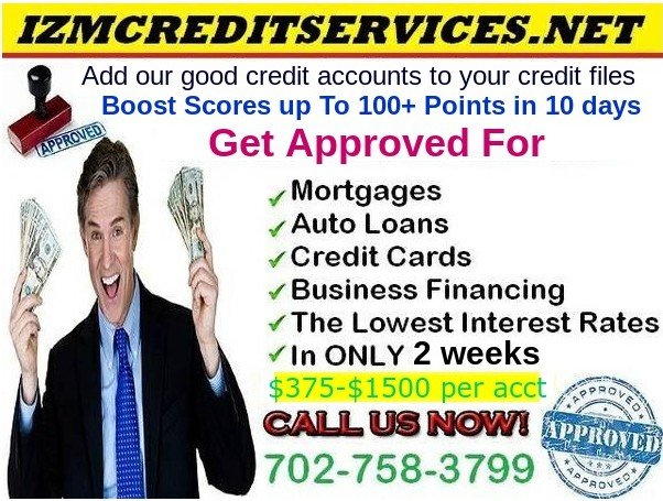 Photo of IZM Credit Services
