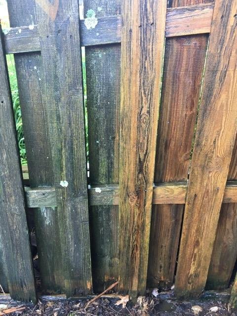 Photo of Cope's Pressure Washing