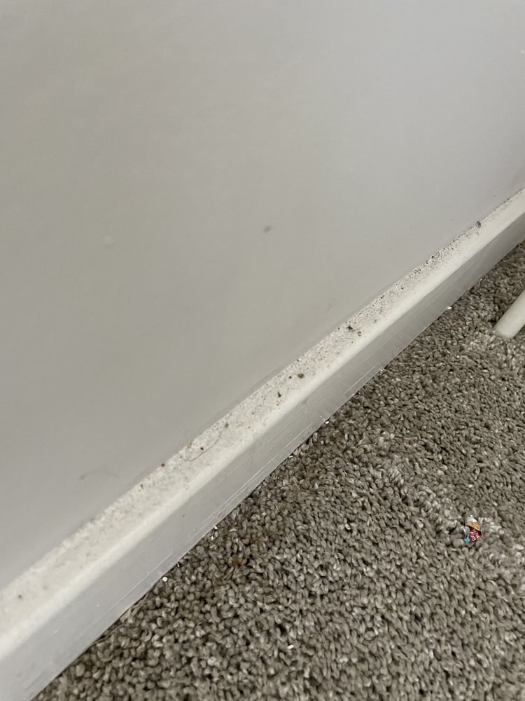 Photo of Brite Maid Services