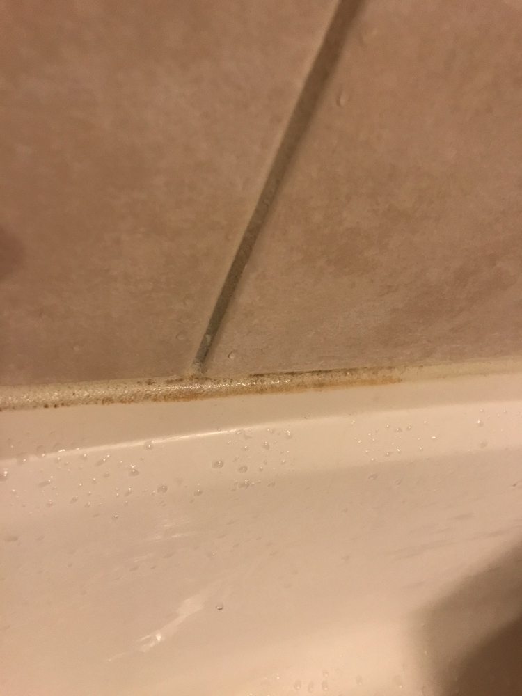 Photo of Brite Maid Services