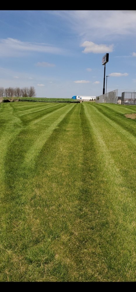 Photo of OCD Lawn