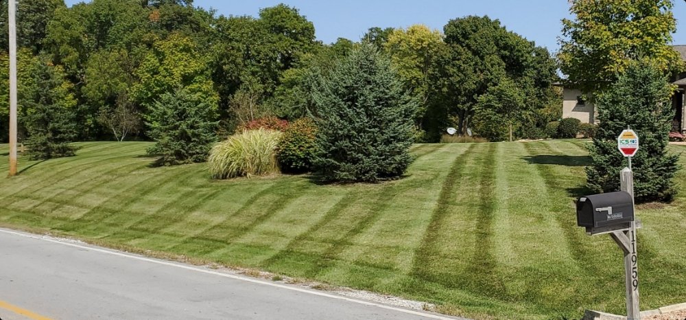 Photo of OCD Lawn