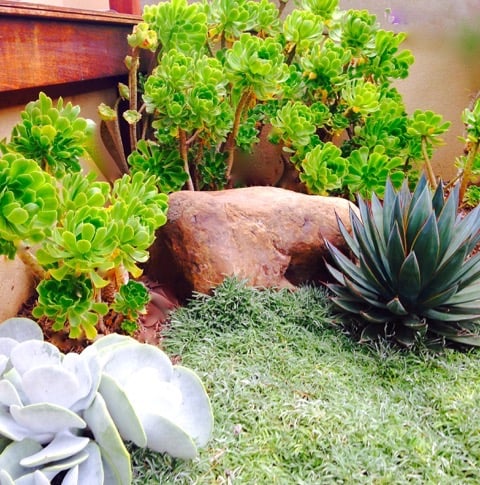 Photo of Terrain