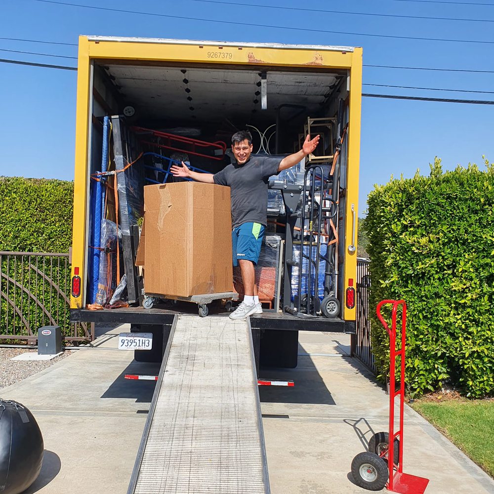 Photo of Must Have Movers