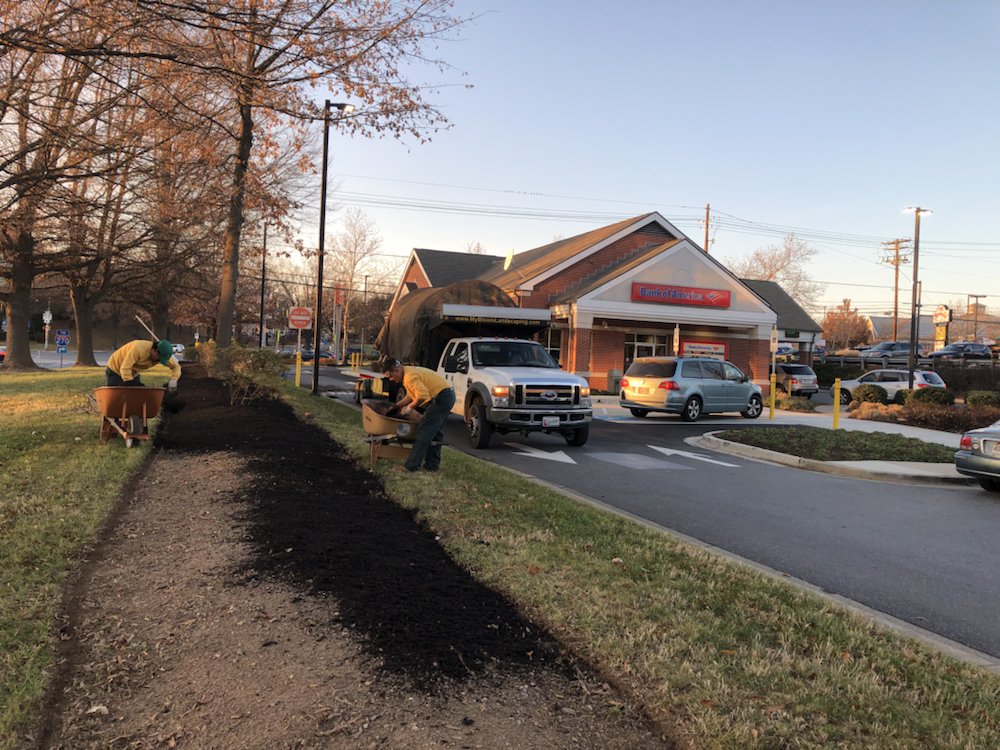 Photo of My Bloom Landscape Services