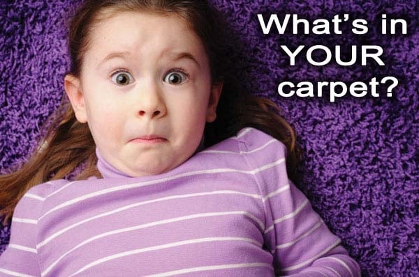 Photo of Citrus Fresh Carpet Cleaning