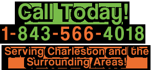 Photo of Citrus Fresh Carpet Cleaning