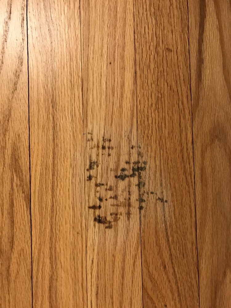 Photo of Angel Hardwood Floor