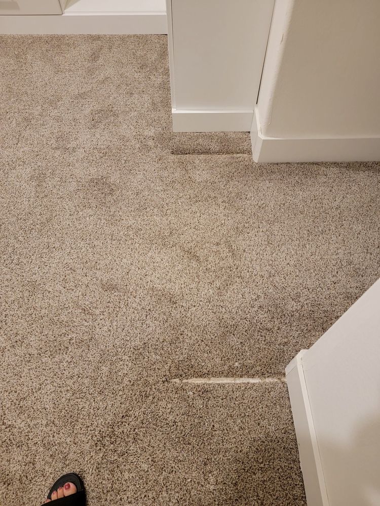 Photo of Amazing Carpet & Upholstery Cleaning