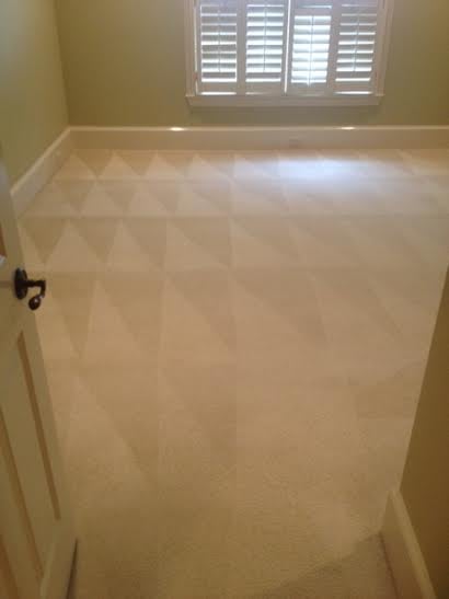 Photo of Safe-Dry Carpet Cleaning -Tuscaloosa
