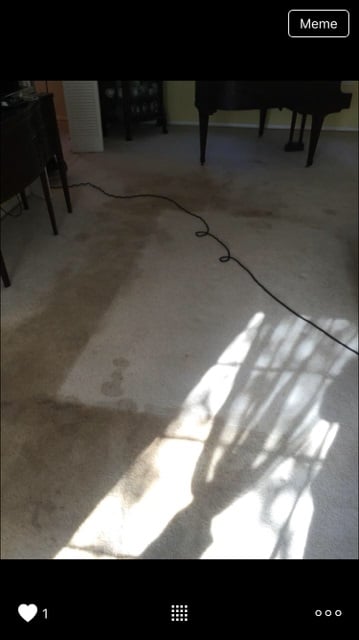 Photo of Safe-Dry Carpet Cleaning -Tuscaloosa