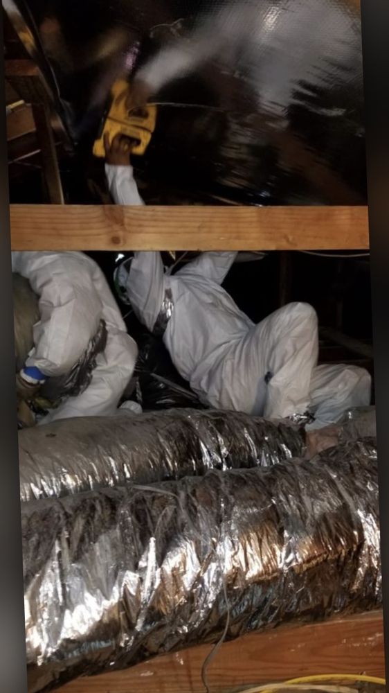 Photo of Breeze Attic Services