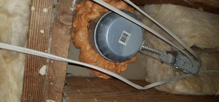 Photo of Breeze Attic Services