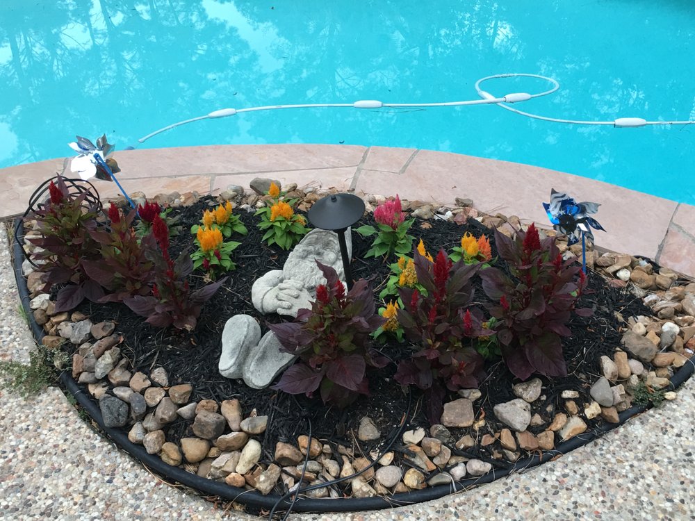 Photo of Plant's Landscaping and Design
