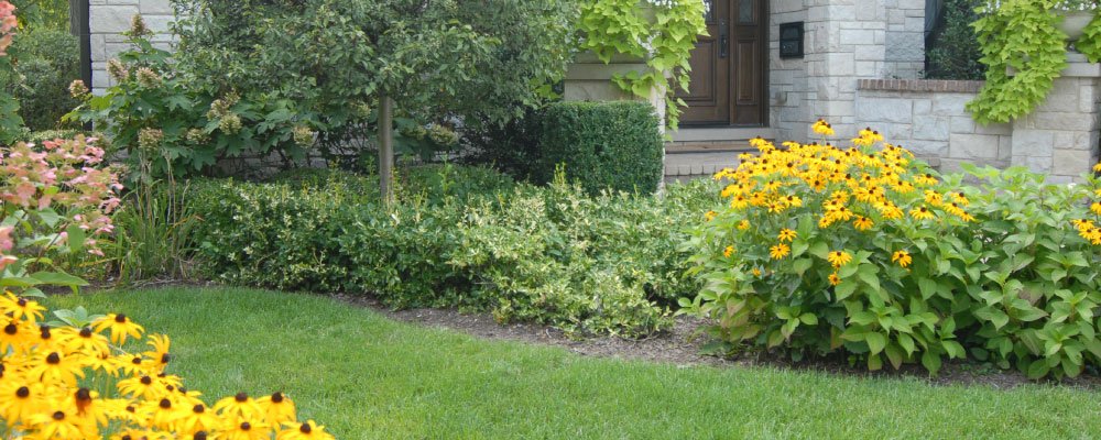Photo of JP's Landscaping
