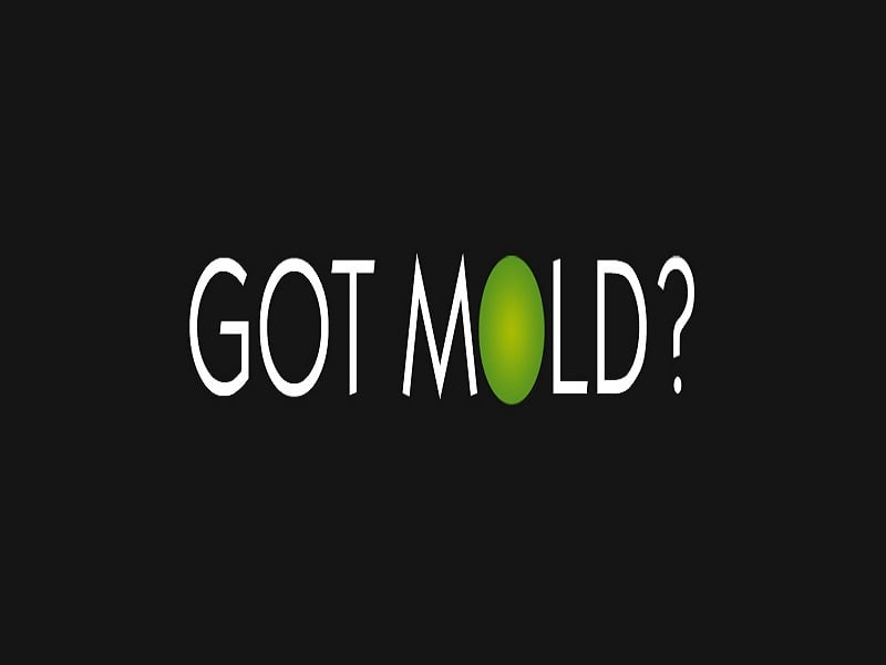 Photo of Real Estate Mold Solutions