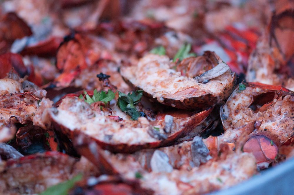Photo of Finding Flavor Catering & Events