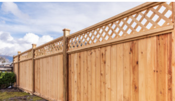 Photo of 360 Fencing