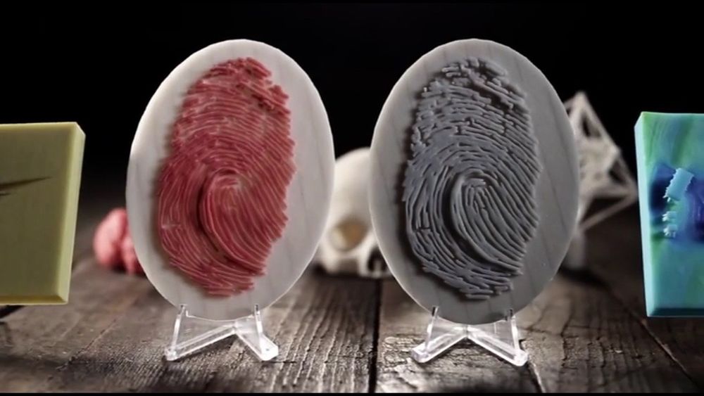 Photo of 3D Printed Evidence