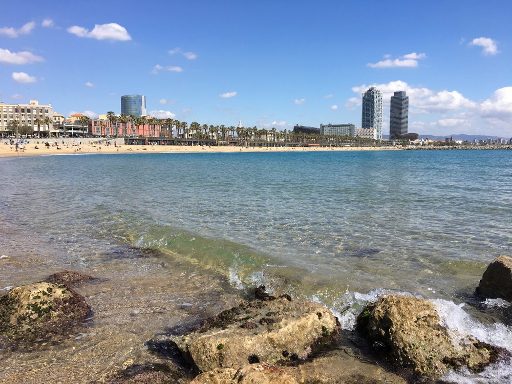Photo of Àliga Real Estate