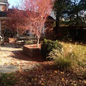 Photo of The Secret Garden