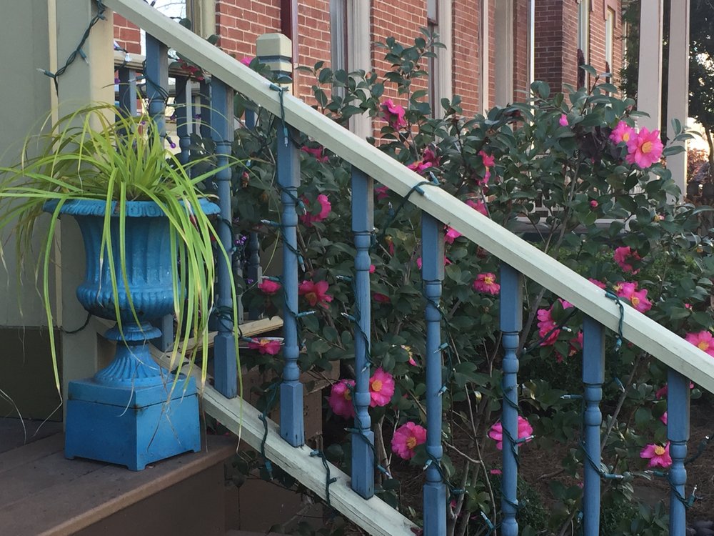 Photo of The Secret Garden