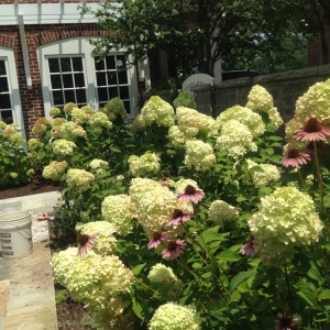 Photo of The Secret Garden