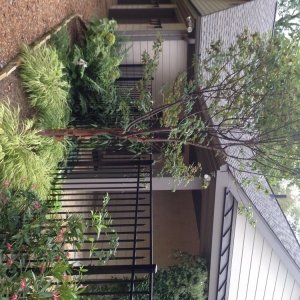 Photo of The Secret Garden