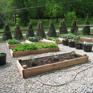 Photo of The Secret Garden