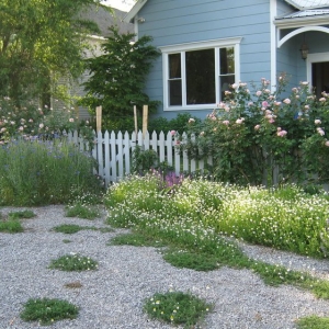 Photo of The Secret Garden