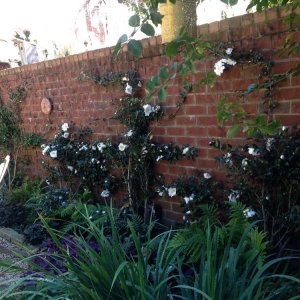 Photo of The Secret Garden