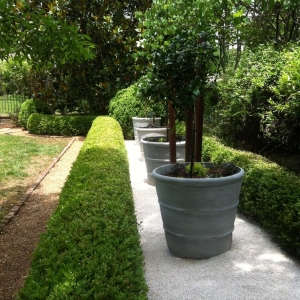 Photo of The Secret Garden