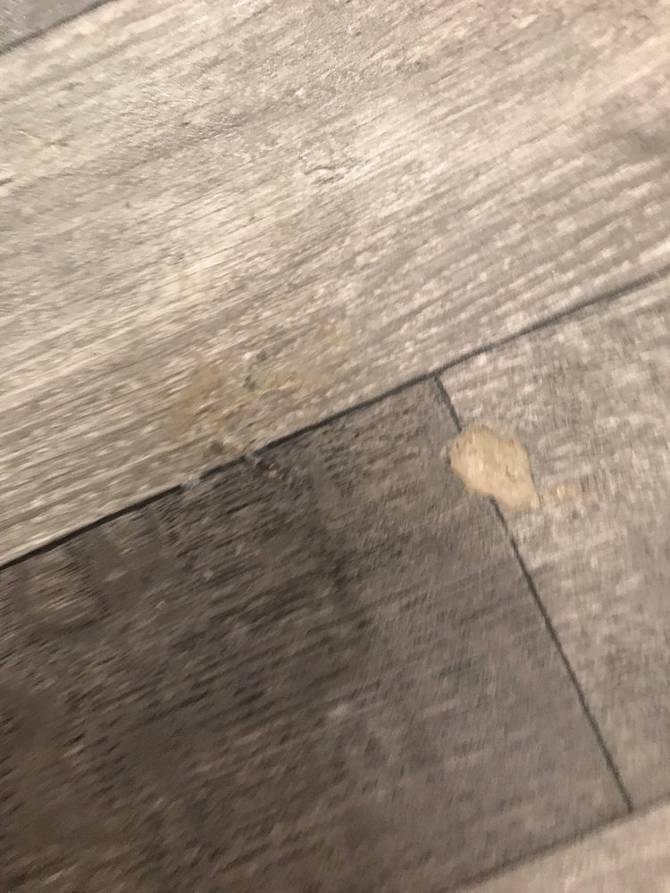 Photo of Elite Flooring Repair