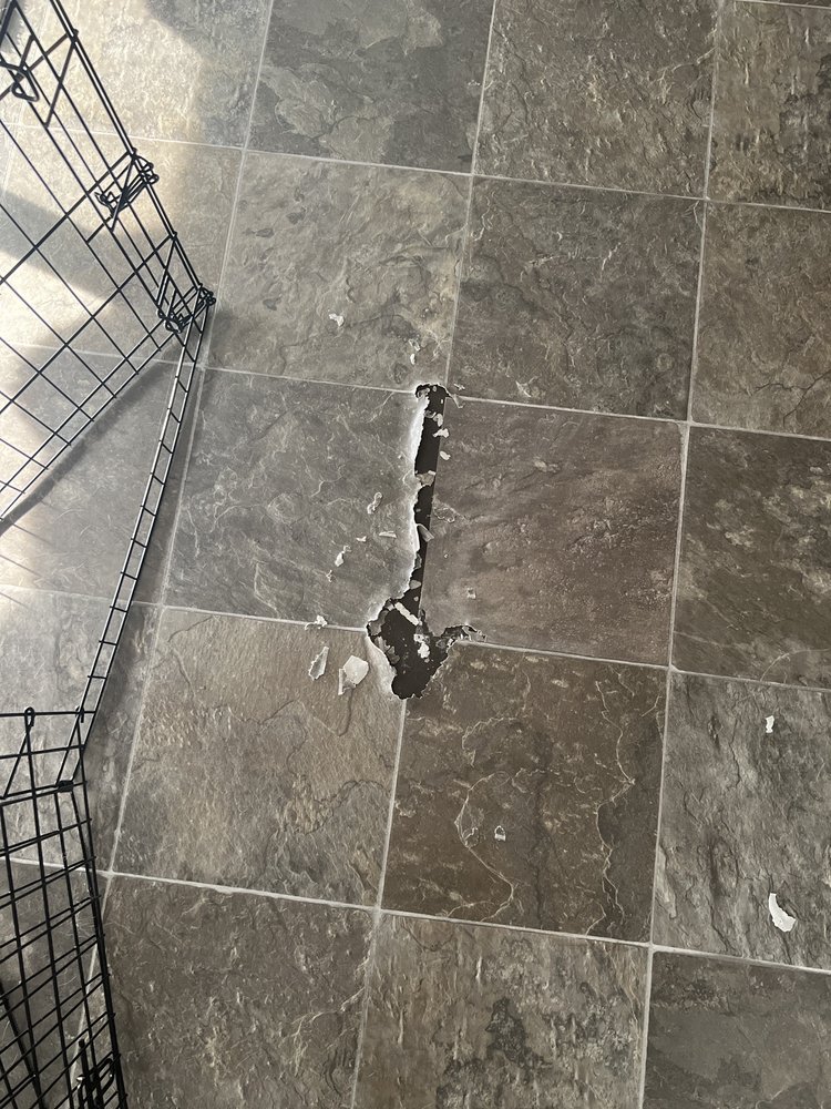 Photo of Elite Flooring Repair