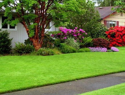 Photo of Two Brothers Lawn Care