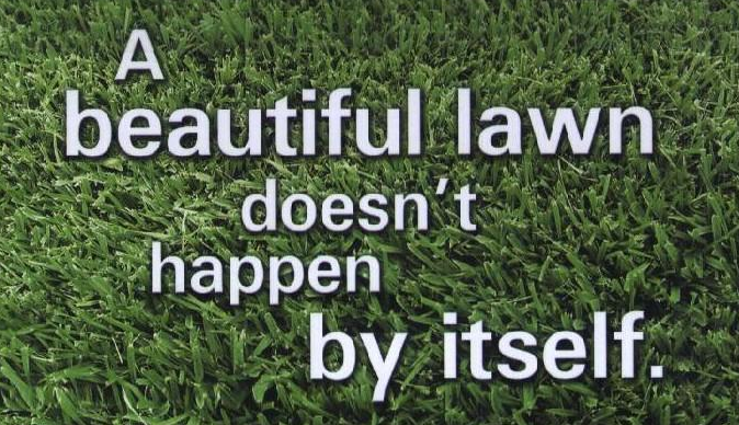 Photo of Two Brothers Lawn Care